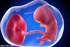 显微操作
